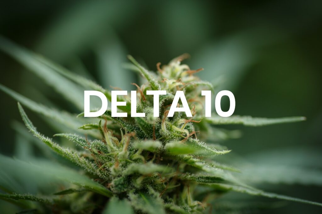 Delta-10 THC Properties