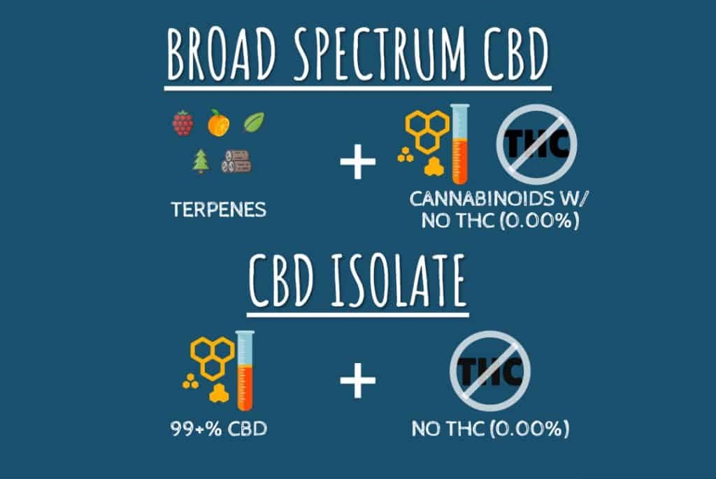 Cbd Spectrum Infographic