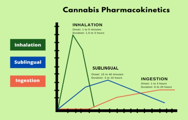 Onset and duration of effects of cannabinoids