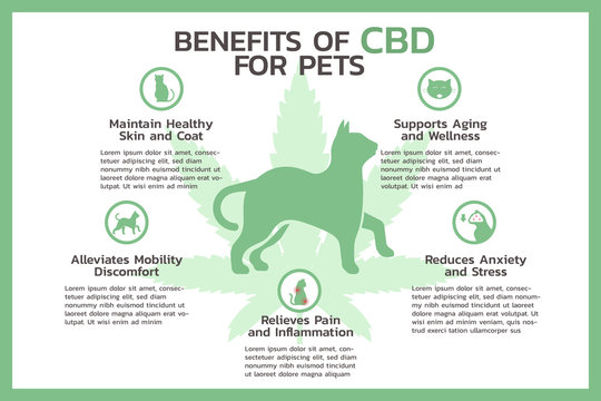Benefits of CBD for Pets Chart
